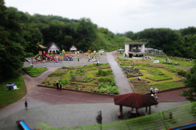四季折々の花が咲き誇る「くりはま花の国」