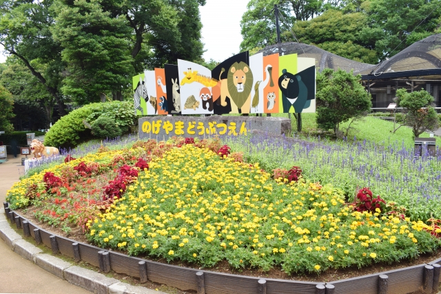 野毛山動物園のふれあい体験はなかよし広場での事前予約が必須