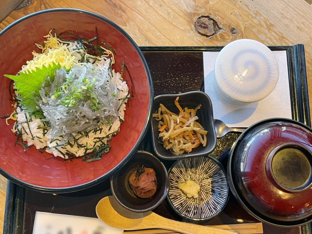 江ノ島エリアで子連れに優しいおすすめランチ5選