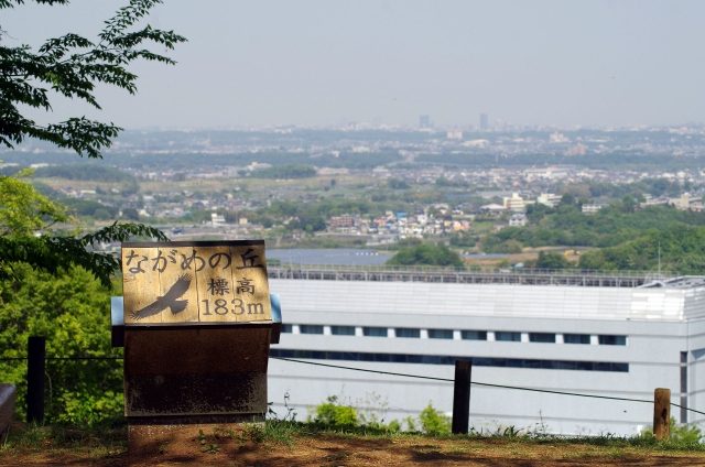 自然豊かな森林が広がる県立七沢森林公園